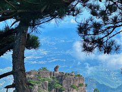 -黄山风景区