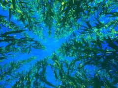-海合安天津极地海洋公园