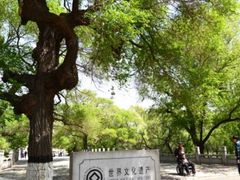 -北陵公园