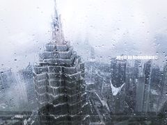 -上海柏悦酒店·世纪100牛排馆