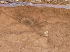 -南宁良凤江国家森林公园