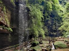 -碧峰峡风景区