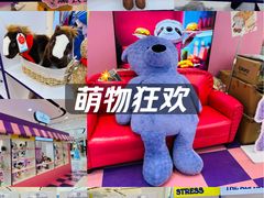 -凯德MALL(望京店)