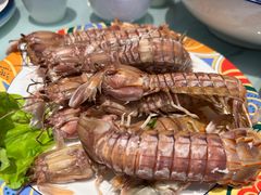 姜汁皮皮虾-映像威海·海鲜味道(经区店)