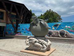 -广东惠东海龟国家级自然保护区