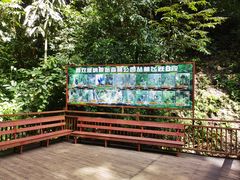 -西双版纳原始森林公园