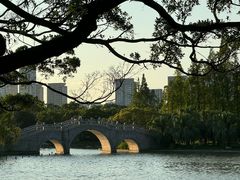 -江心屿景区