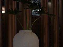 -sugarman espresso素饮糖人高新咖啡工厂