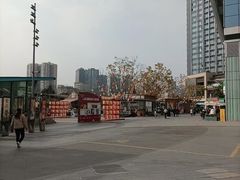 -首开·龙湖成都西宸天街