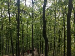 -襄阳烈士陵园(襄城区)