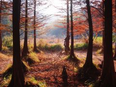 -南京市无想山景区