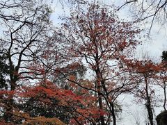 -灵隐飞来峰景区