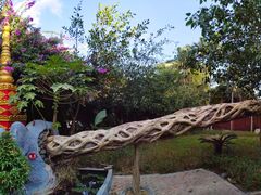 -瑞丽独树成林风景区