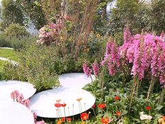 -海心沙亚运公园