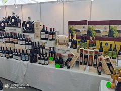 -三亚湾红树林国际会展中心(演出售票)