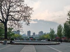 -莲花池公园