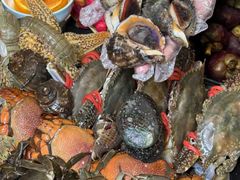 -乔哥铭洋海鲜自助(皇城恒隆广场店)