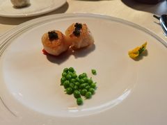 鱼子酱香煎带子皇-皇朝会.经典传统粤菜(外滩店)