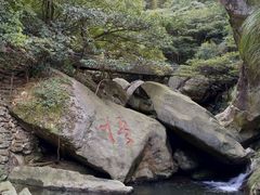 -东林大峡谷