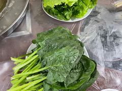 -鑫龙火锅城(阳光新路店)