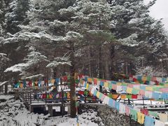 -硗碛藏寨·神木垒景区