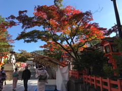 -是山居