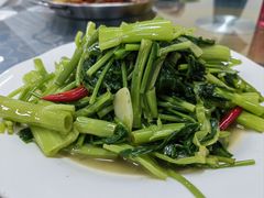 -金螃蟹