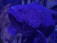 -波塞冬海底世界