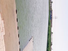 -大港湿地公园