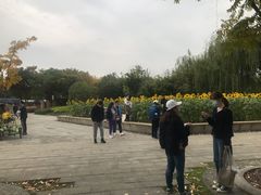 -武汉园博园(武汉自然博物馆)
