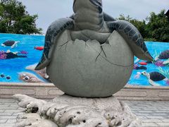 -广东惠东海龟国家级自然保护区
