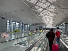 -杭州萧山国际机场