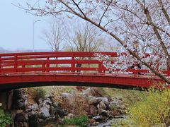 -羊山湖公园