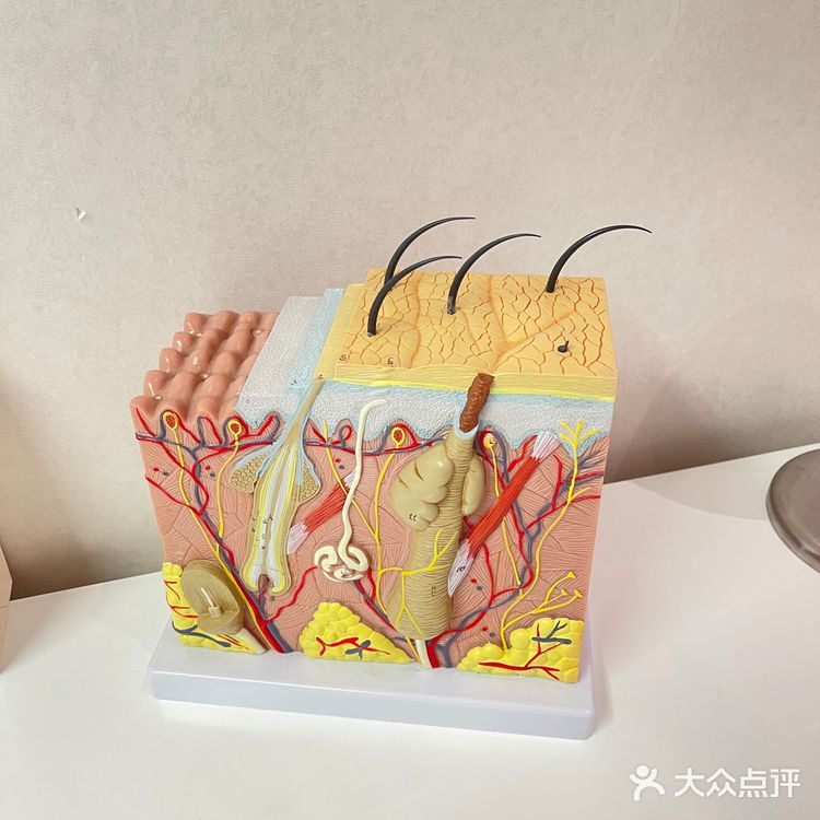 🌟深圳南山区首选SPA#美容护理最佳