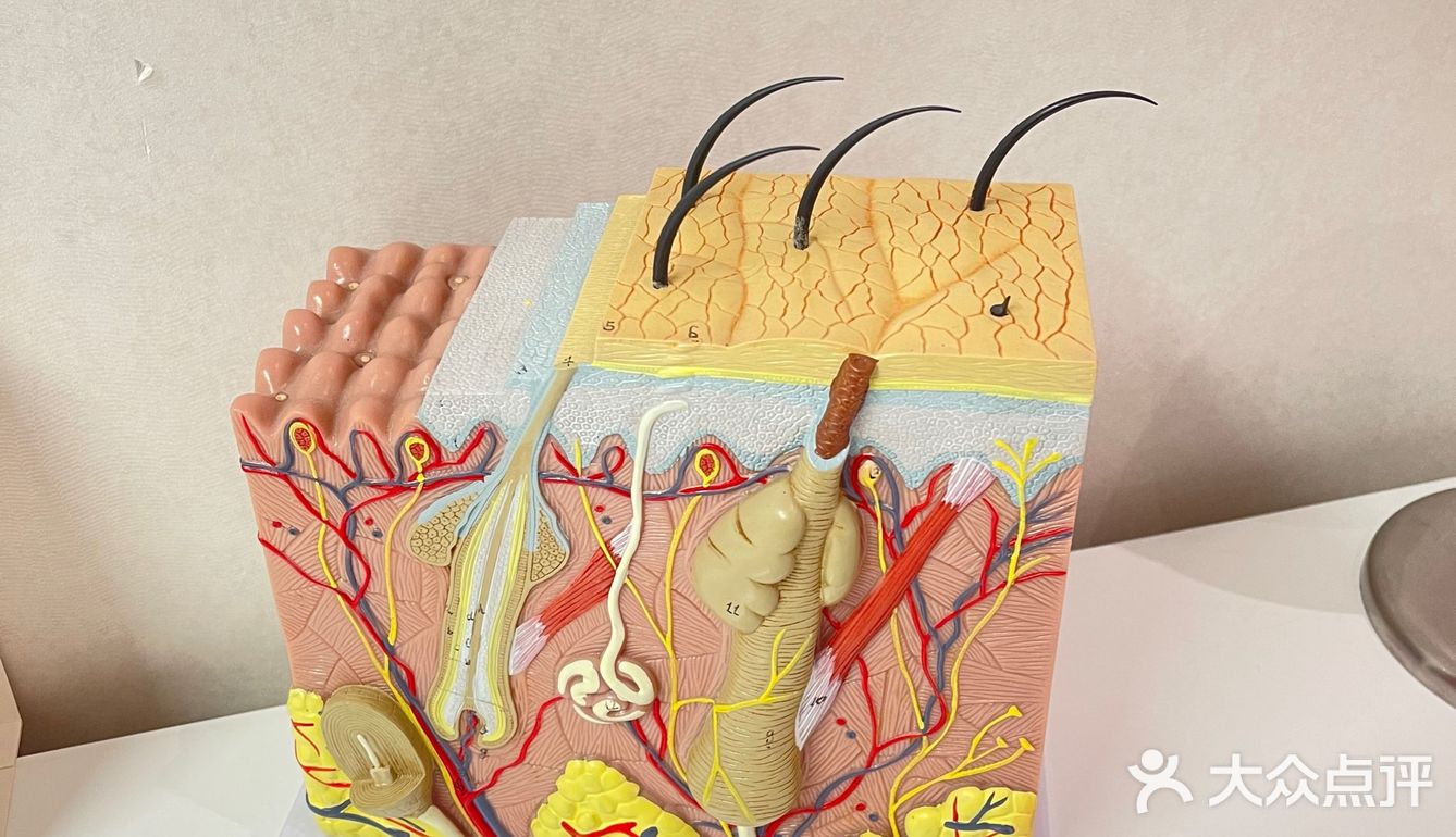 🌟深圳南山区首选SPA#美容护理最佳