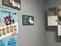 -半岛宠物医院24小时(科华中路店)
