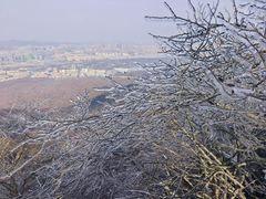 -紫金山山顶公园