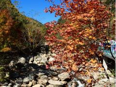 -丹东天桥沟景区