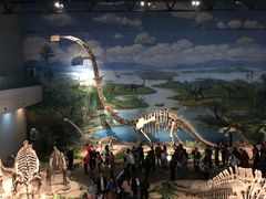 -自贡恐龙博物馆