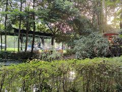 -二荆条·蜀鲜汇城市森林火锅