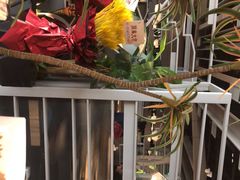 -湊湊火锅·茶憩(皇姑万象汇店)