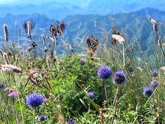 -白草畔自然风景区