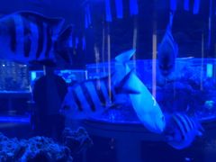 -上和臻品中国菜(花园街店)