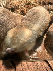 -Zoolung Zoolung动物主题公园(海信广场店)