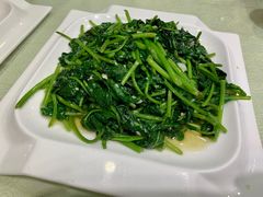 蒜茸红薯苗-东四民芳餐厅(世茂工三店)