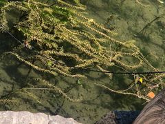 -灵溪风景区