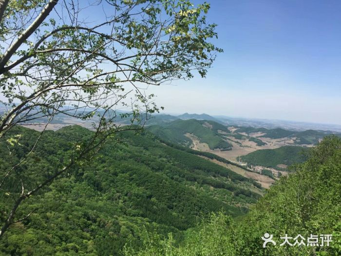 吊水壶国家森林公园图片