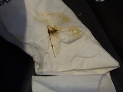 -云阿蛮云南生烫牛肉米线(奉贤路店)