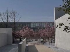 -渡海小渔村.老辈日照菜
