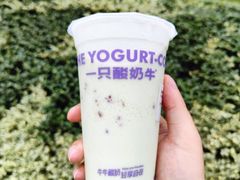 -一只酸奶牛(来福士店)